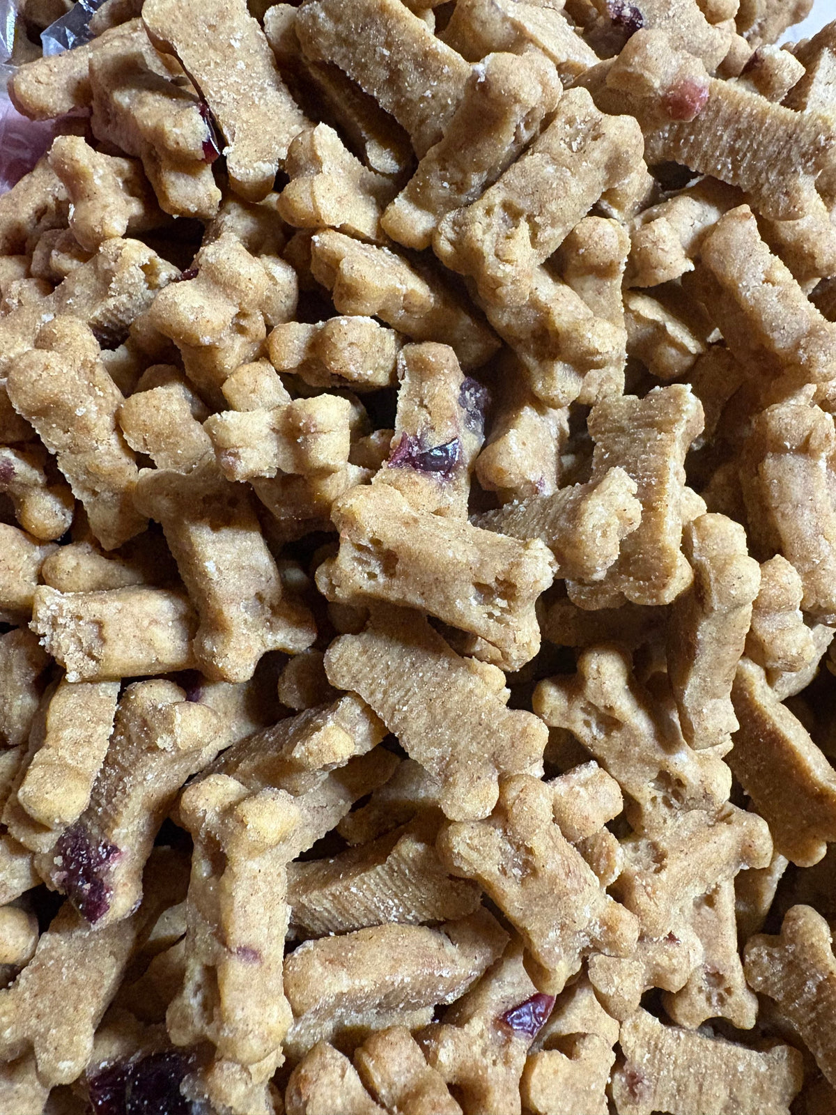 Pumpkin & Cranberry Soft Dog Treats | Made in USA-1