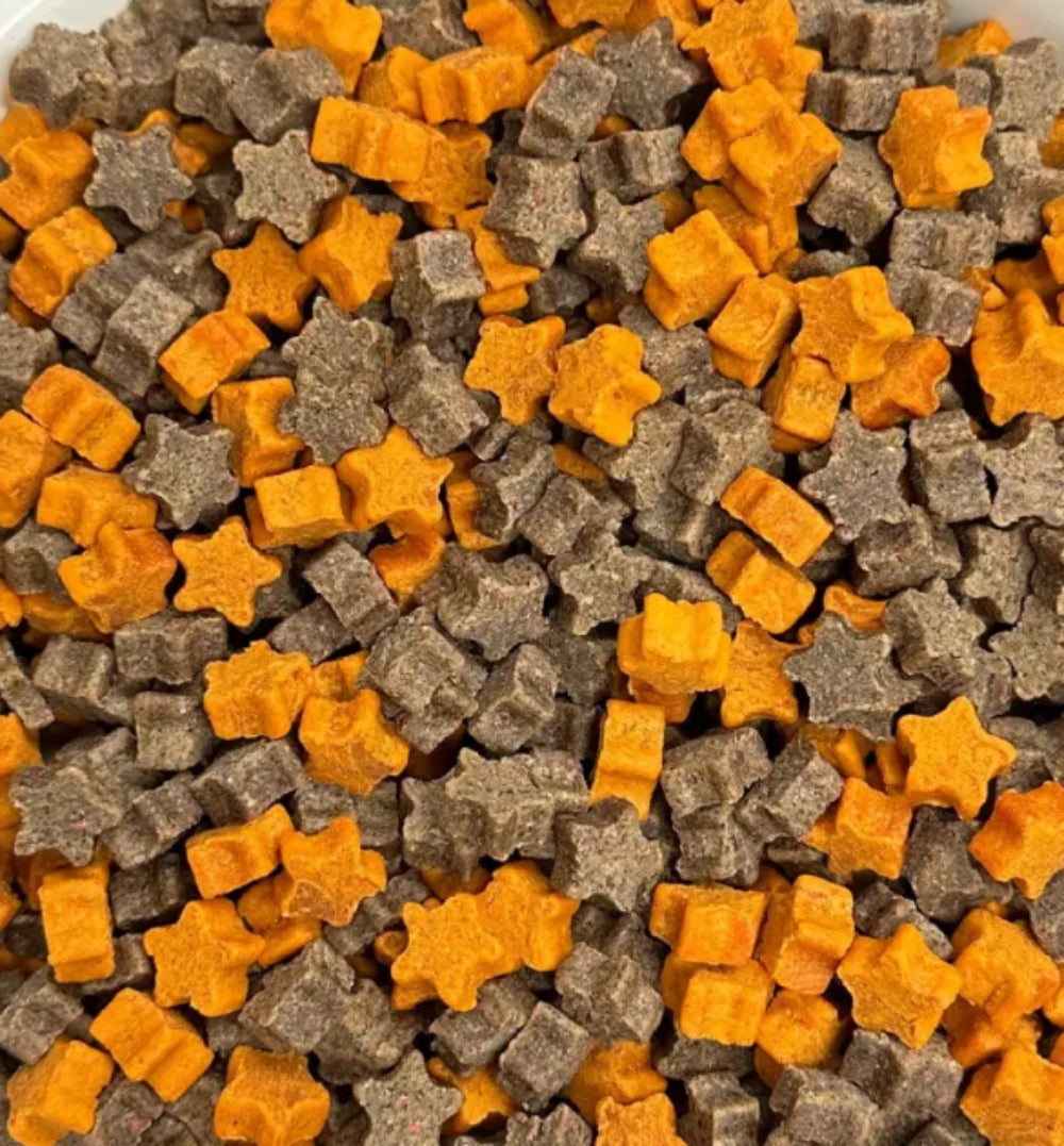 Blueberry Pumpkin Soft Dog Treats | Wholesale Bulk Dog Treats | Made in USA-0
