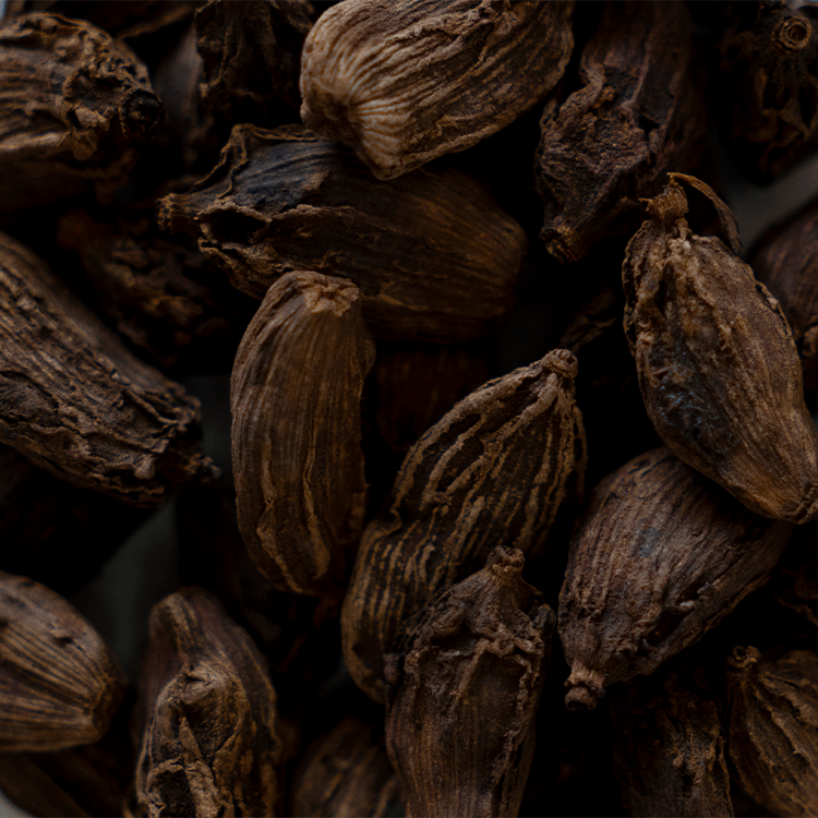 Organic Cardamom | Wholesale-1