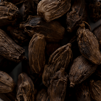 Organic Cardamom | Wholesale-1