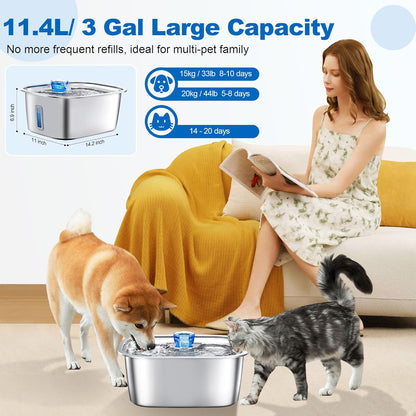Stainless Steel Dog Water Fountain with Visible Water Level Window for Large Dogs-1