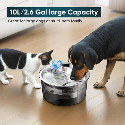 2.6Gal/10L Dog Water Fountain for Dogs & Cats & Multiple Pets D2340-2