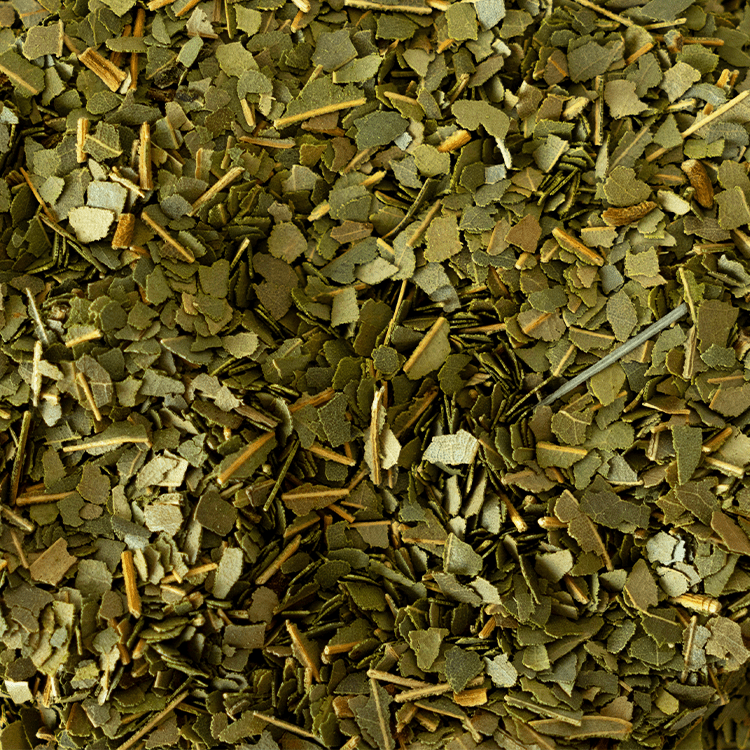 Organic Cinnamon Leaves | Wholesale-1