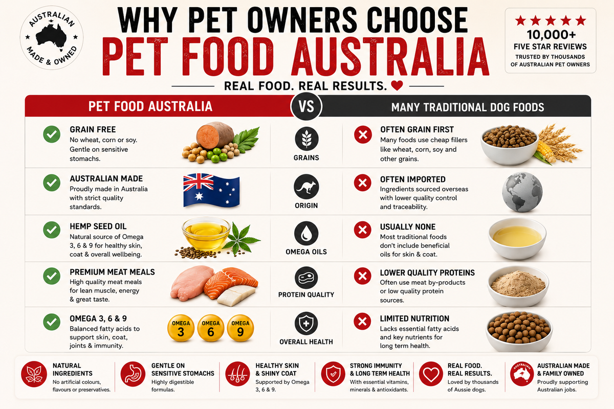 Cat Dry Food-4