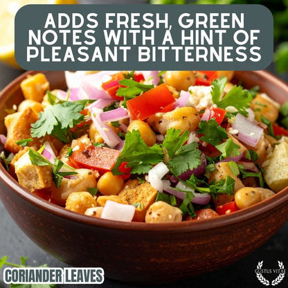 Coriander Leaves (Cilantro)-3