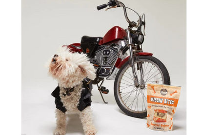 Single Ingredient, High Value Freeze-Dried Training Treats for Dogs & Cats - Salmon-3