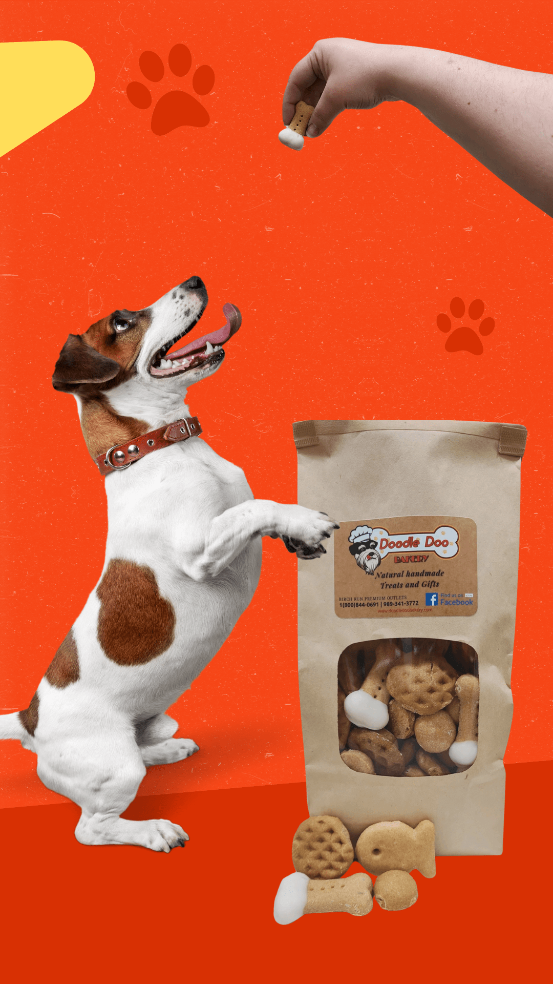 Homemade Dog Treat Party Bag – 1 lb Variety Mix-0