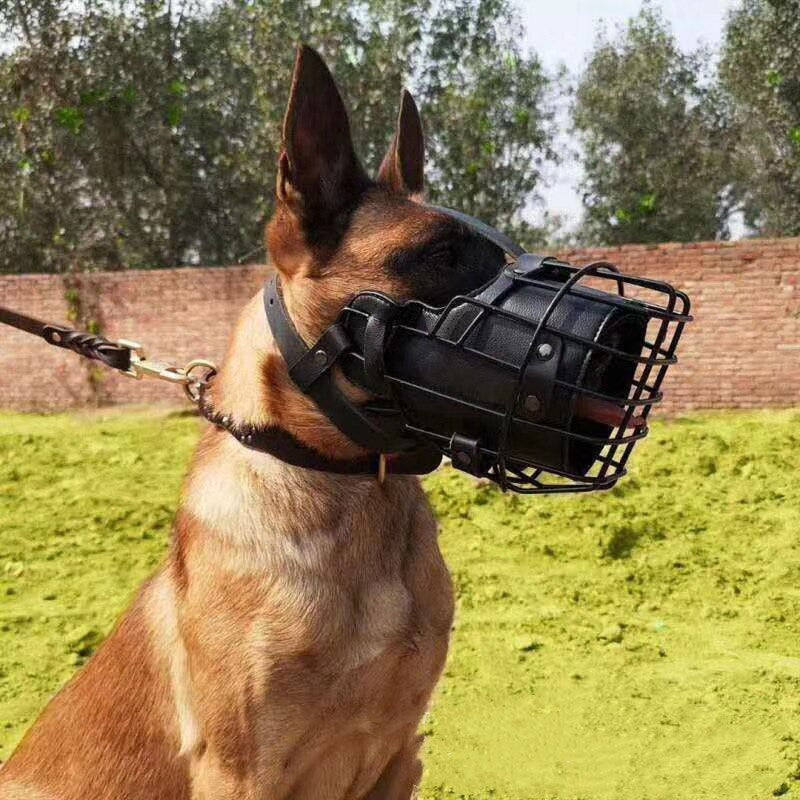 Anti-Bite Dog Tactical Mouth Cage Dog Training Muzzle Accessories-5