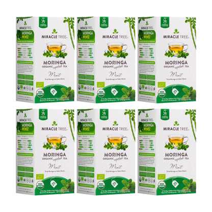 Organic Moringa Tea - Mint - Caffeine-Free Herbal Tea-6