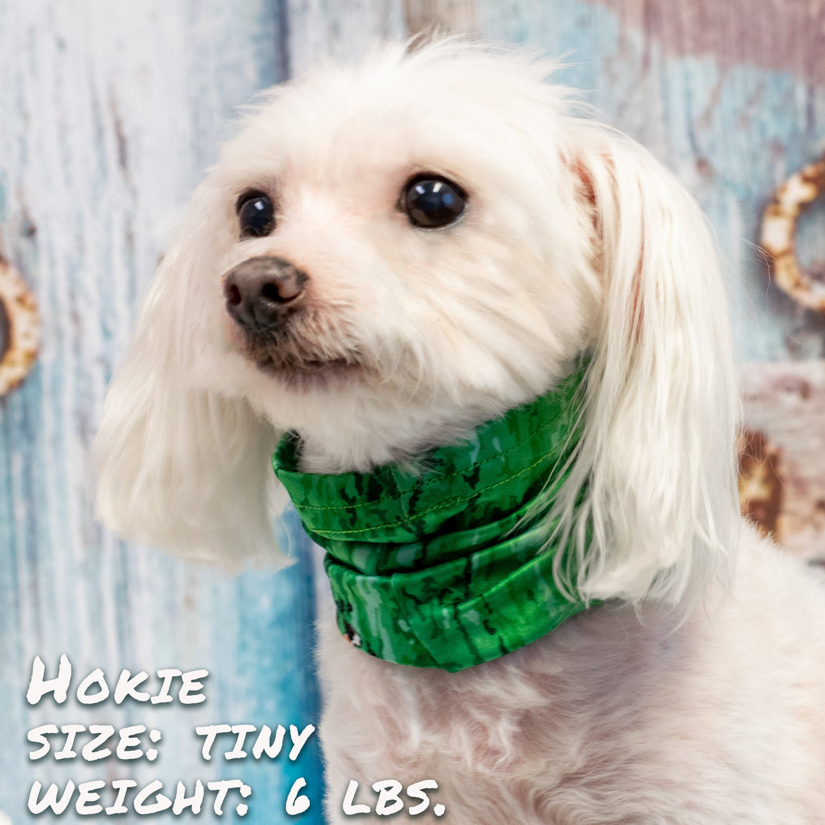 Green Bark Pup Scruff-2