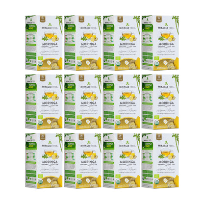 Organic Moringa Tea - Lemon & Ginger - Caffeine-Free Herbal Tea-7