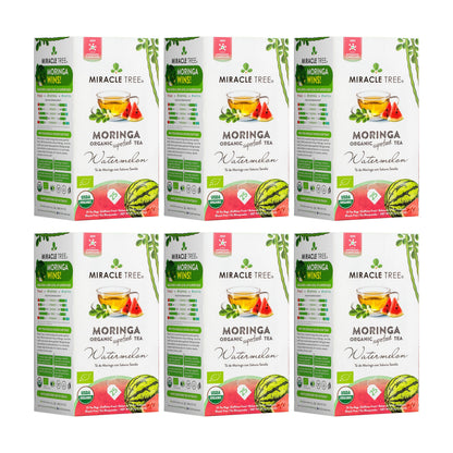 Organic Moringa Tea - Watermelon - Caffeine-Free Herbal Tea-6