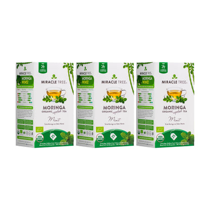 Organic Moringa Tea - Mint - Caffeine-Free Herbal Tea-5