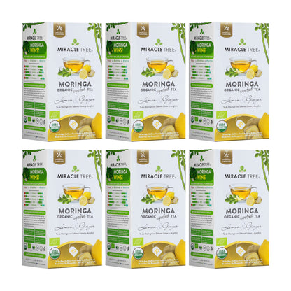 Organic Moringa Tea - Lemon & Ginger - Caffeine-Free Herbal Tea-6