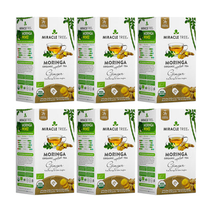 Organic Moringa Tea - Ginger - Caffeine-Free Herbal Tea-6