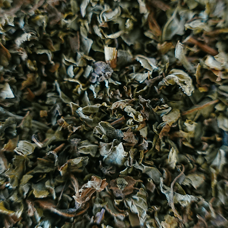 Organic Spearmint | Wholesale-1