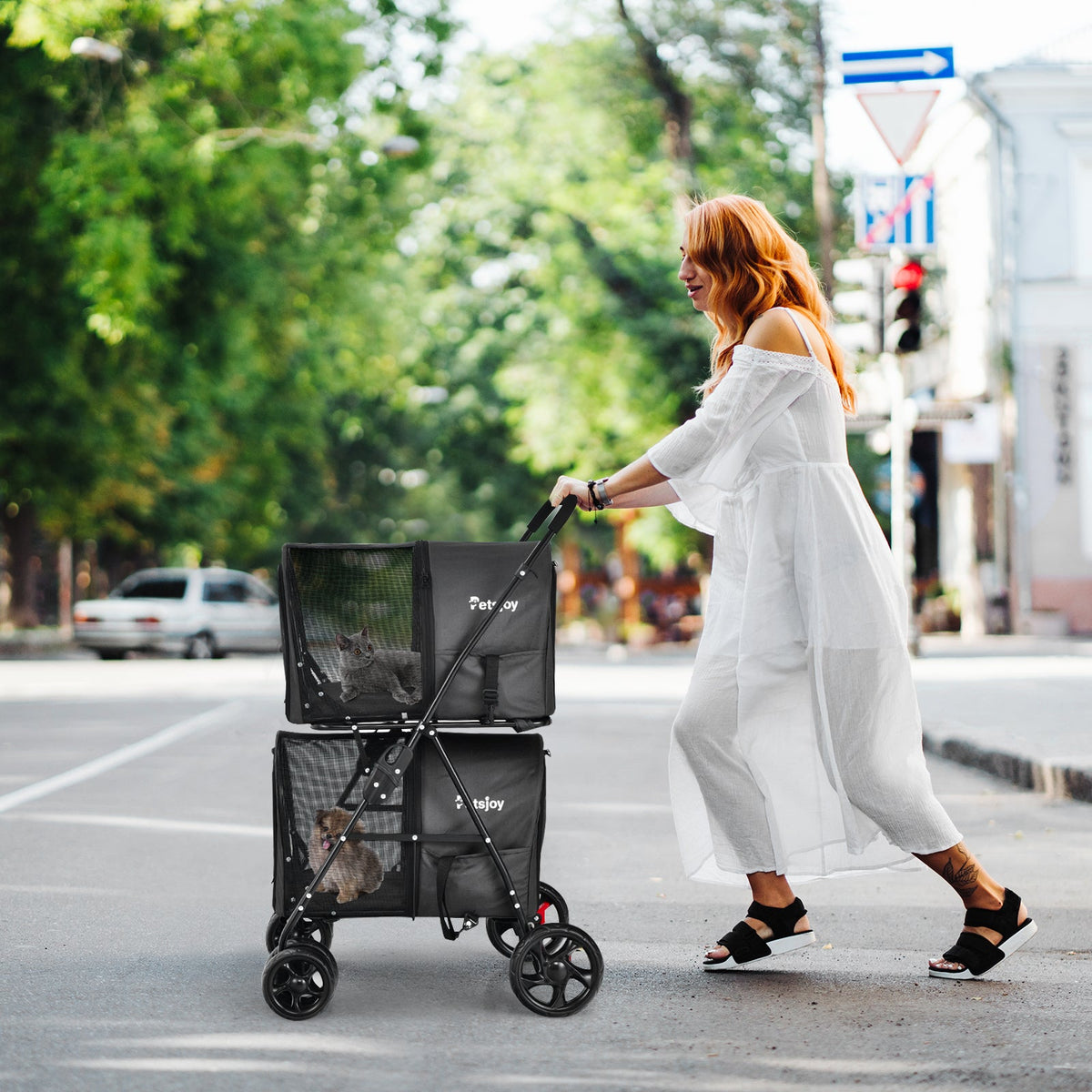 NNECW 4-in-1 Double Pet Stroller with Detachable Carrier for Cats Travel-Black-1