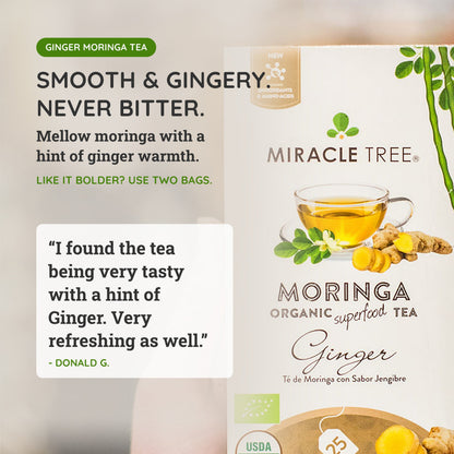 Organic Moringa Tea - Ginger - Caffeine-Free Herbal Tea-2
