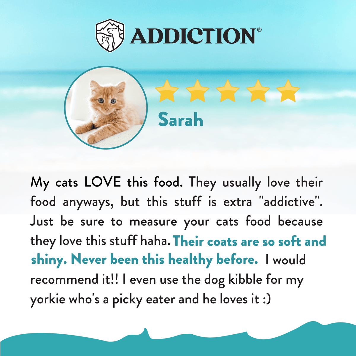 Salmon Bleu Dry Cat Food