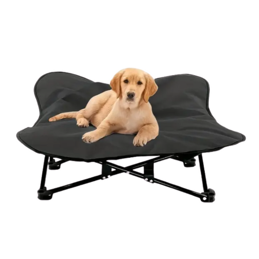Portable Elevated Dog Bed for All Dog-0