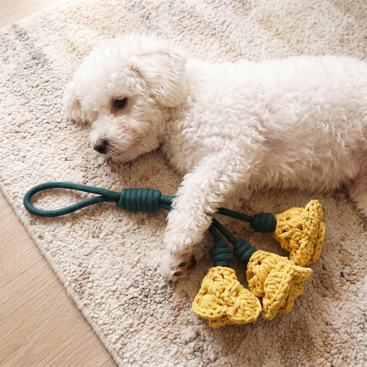 Miss Yellow: Daylily Tug Snuffle Tug Toy-4