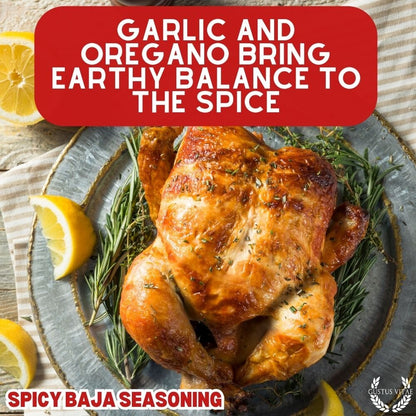 Spicy Baja Seasoning-4