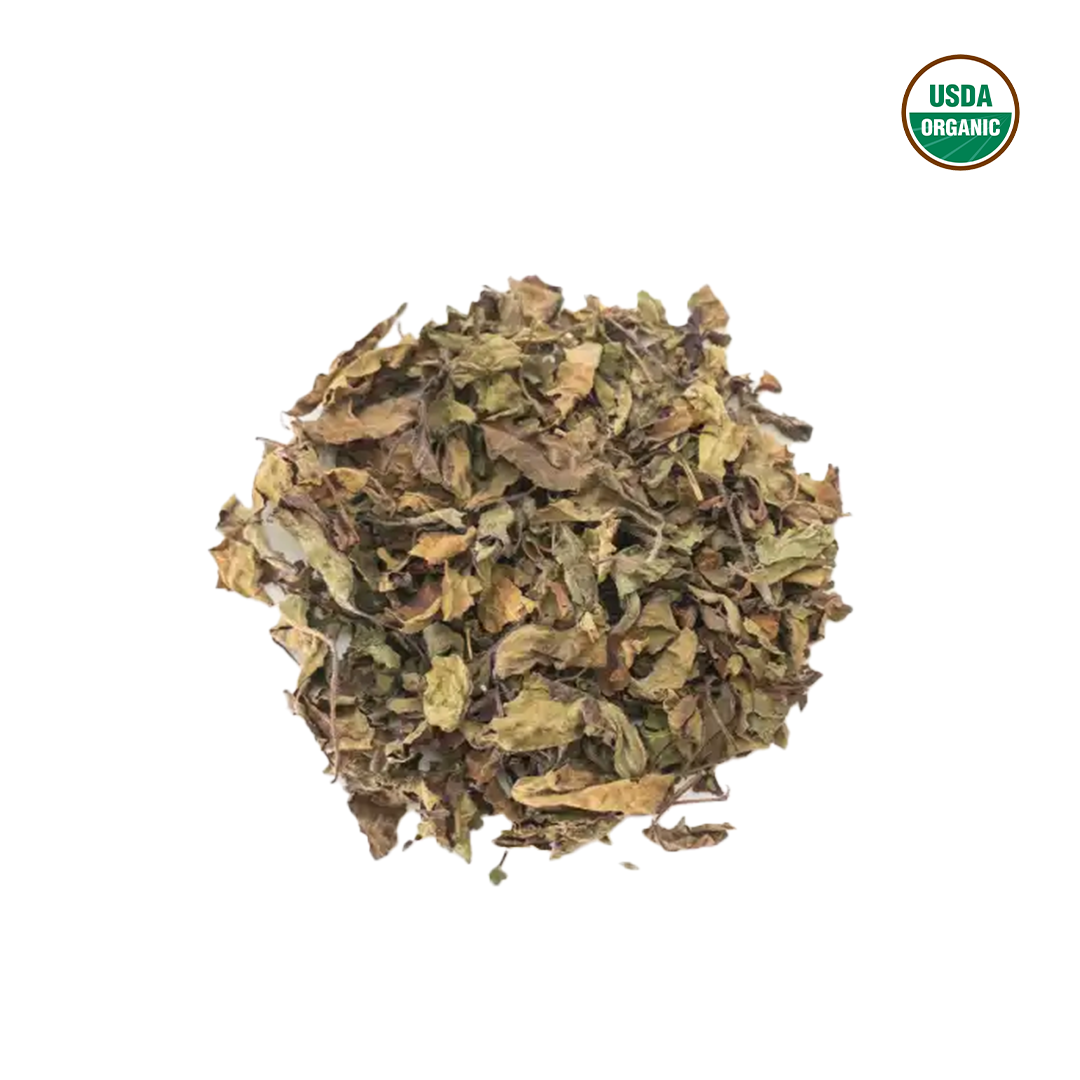 Organic Tulsi | Wholesale-0