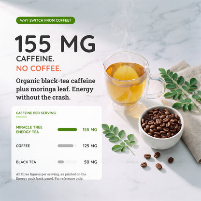 Organic Moringa Energy Tea Bundle - Starter Set - 5 Flavors - Natural Coffee Alternative-4